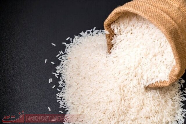 فروش برنج دولتی در سامانه بازارگام یک مسکّن قوی است