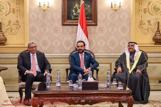 رئیس پارلمان عراق به قاهره رفت