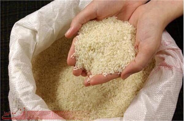 دستوری شدن قیمت برنج، تولیدکننده را متضرر می‌کند