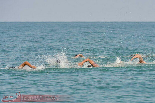 مسابقات کشوری شنای آب های آزاد جام خلیج فارس  در جزیره کیش برگزار می شود