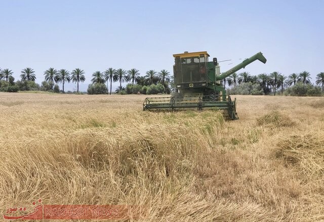 جلسه بررسی مجدد قیمت گندم برگزار نشد