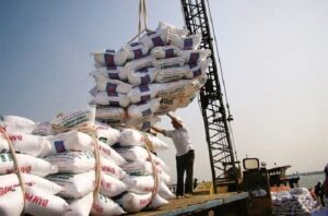 ابعاد تازه از رسوب نیم میلیون تن برنج شمال