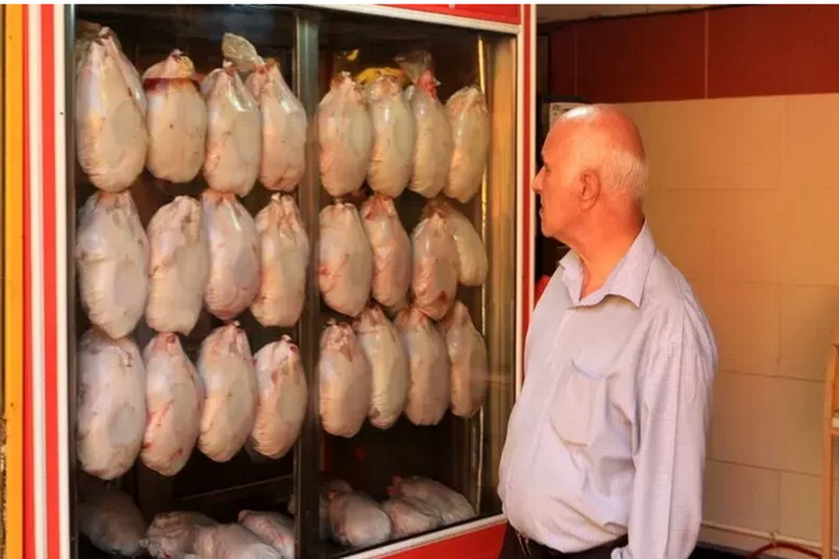 جدیدترین قیمت گوشت مرغ در بازار