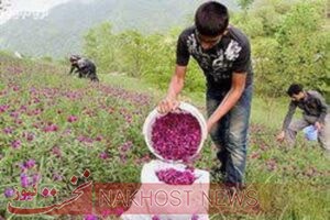 آبرسانی به ۱۲۰۰ خانوار عشایر استان تهران