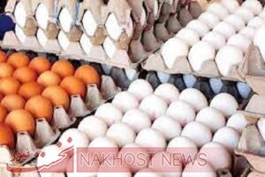 ایران رتبه جهانی در تولید تخم‌مرغ