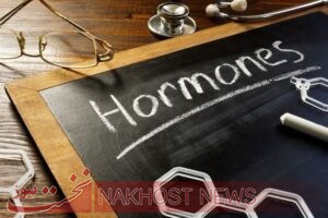چند ماده غذایی مفید برای حفظ تعادل هورمون‌ها