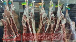 تعیین سود بازرگانی صفر درصدی برای واردات گوشت