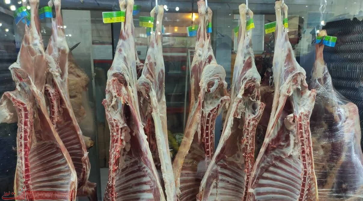 تعیین سود بازرگانی صفر درصدی برای واردات گوشت