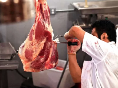 آغاز توزیع گوشت گرم گوساله تنظیم بازار در مشهد