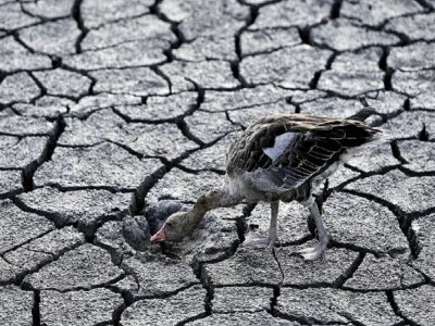 چرا زنگ خطر «خشکسالی» در کشور شنیده نمی شود؟