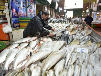 اضافه شدن ماهی به سفره مردم قیمت گوشت را کاهش می دهد!