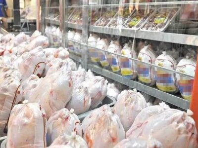 توزیع 6 تن مرغ منجمد در محمودآباد