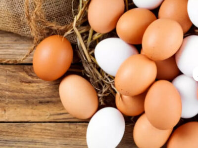 مزایای مصرف تخم‌مرغ یک ماده مغذی سرشار از پروتیین