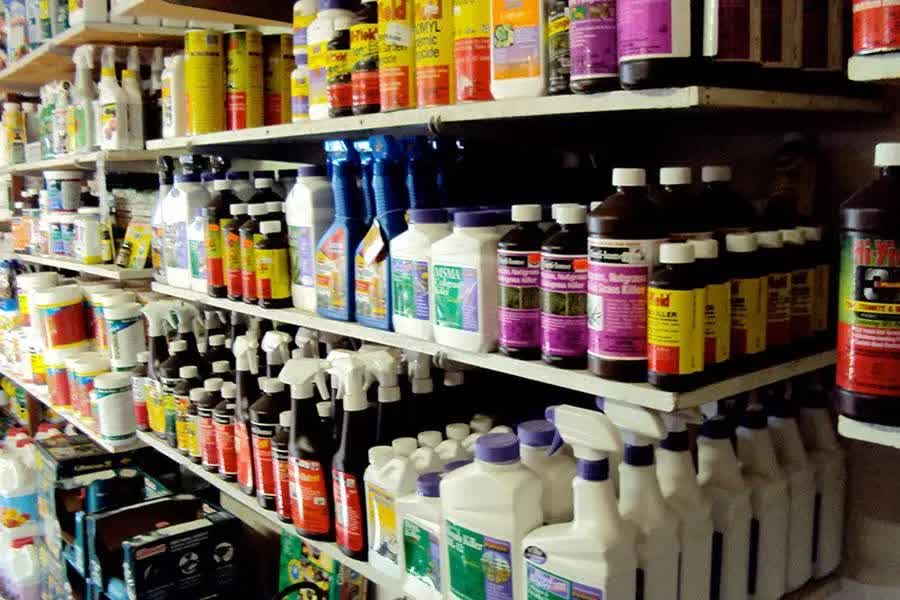 فعالیت 35 فروشگاه سموم کشاورزی در محمودآباد