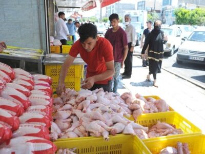 کاهش قیمت مرغ به ۸۰ هزار تومان