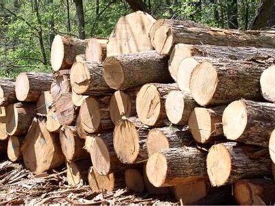 موانع واردات چوب به کشور