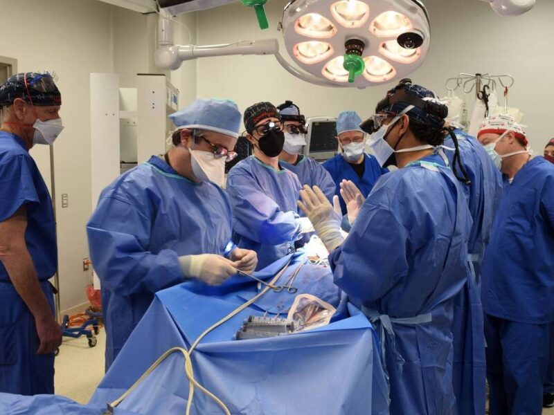 پیوند عجیب عضو خوک به انسان