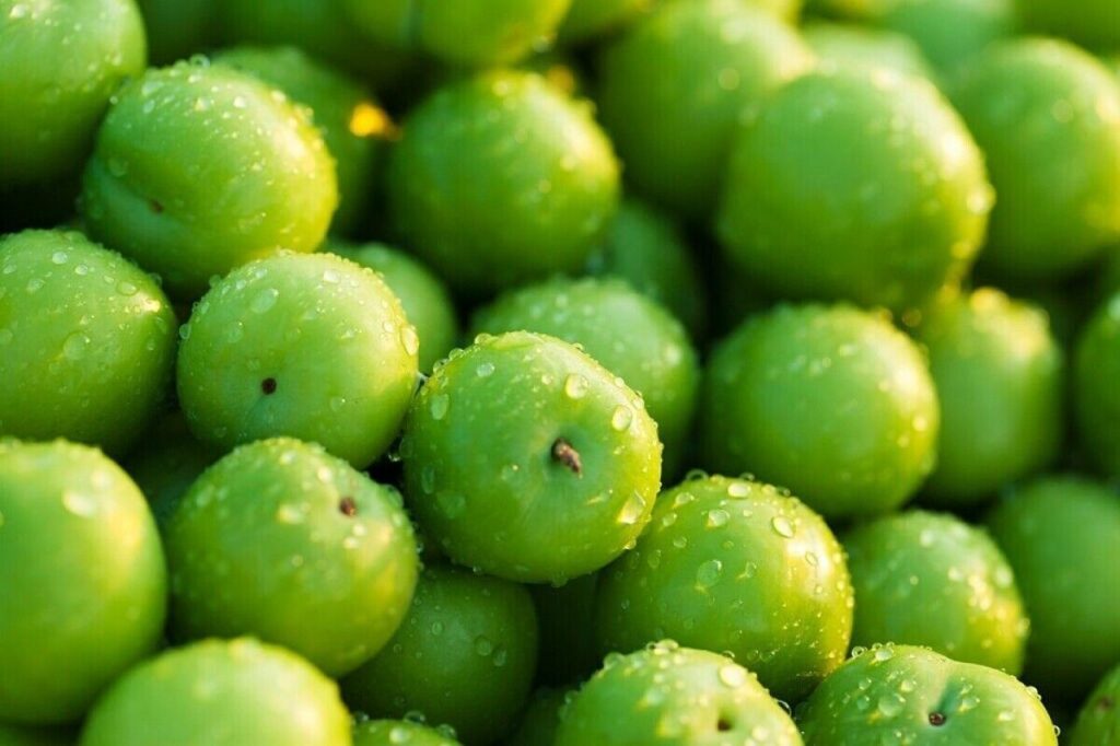 قیمت نجومی گوجه سبز