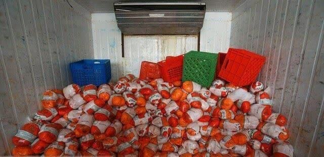 توزیع 25 تن مرغ و گوشت منجمد در شهرستان نور