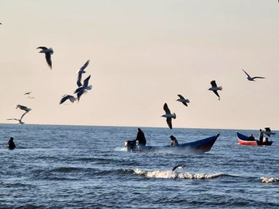 آب شیرین کن‌ها بلای حیات خزر