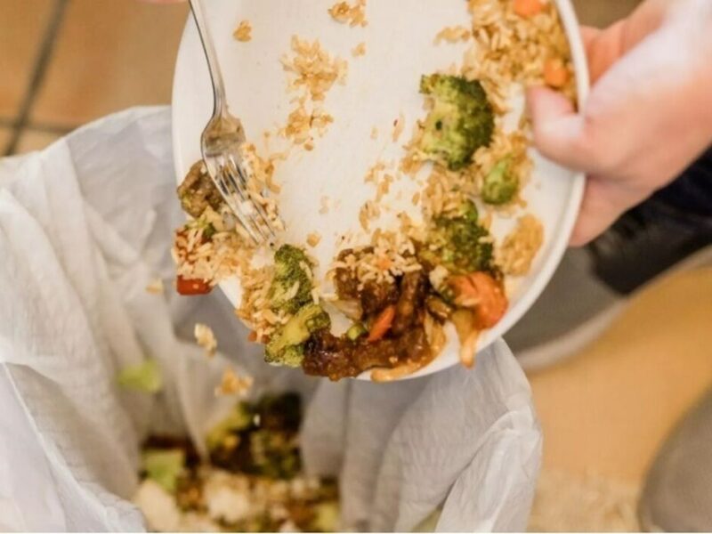 ایرانی ها هر سال ۳۵میلیون تن غذا را دور میریزند!