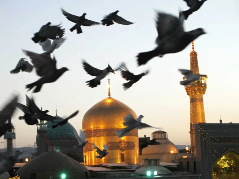 گلباران حرم مطهر رضوی به مناسبت ولادت امام جواد (ع)