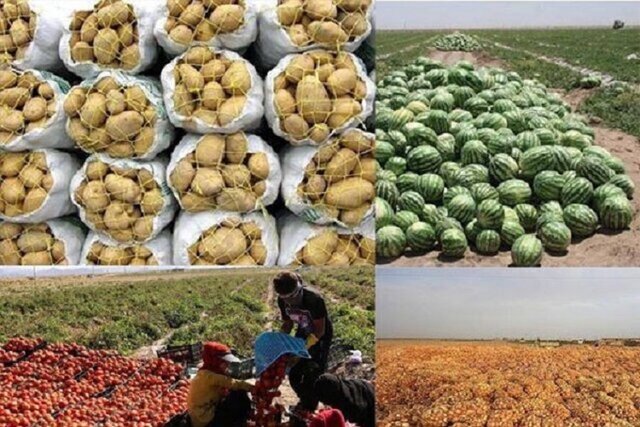 صادرات محصولات کشاورزی در خراسان شمالی در بن‌بست زیرساخت‌ها