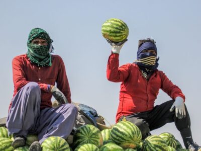 پنج شگفتی در گزارش رسمی تورم خوراکی!