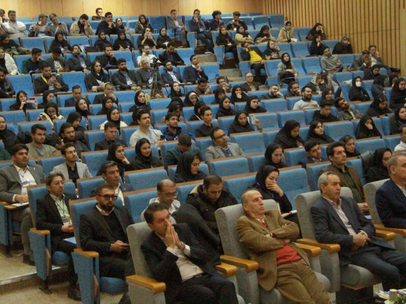 چگونه شرکت ها بازارها را تسخیر می کنند؟!
