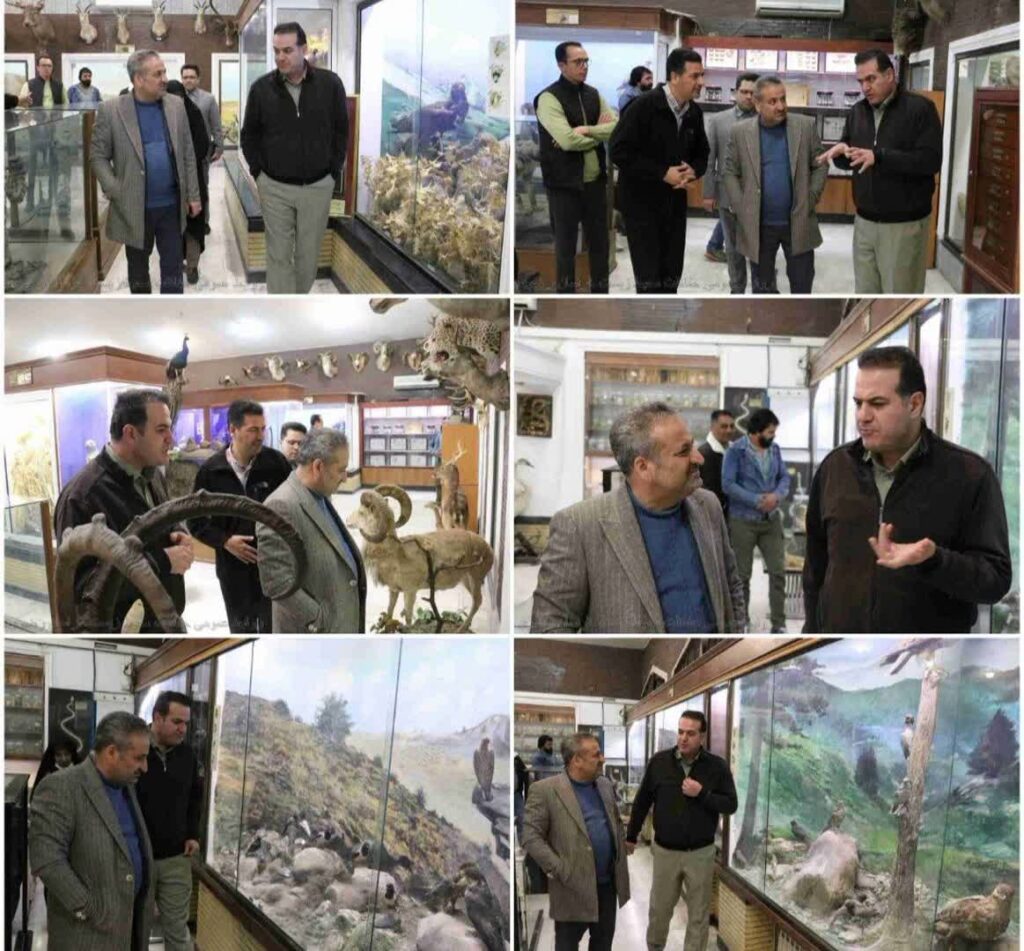 دیدار سرپرست اداره حفاظت محیط زیست خراسان رضوی با نماینده مردم جغتای در مجلس
