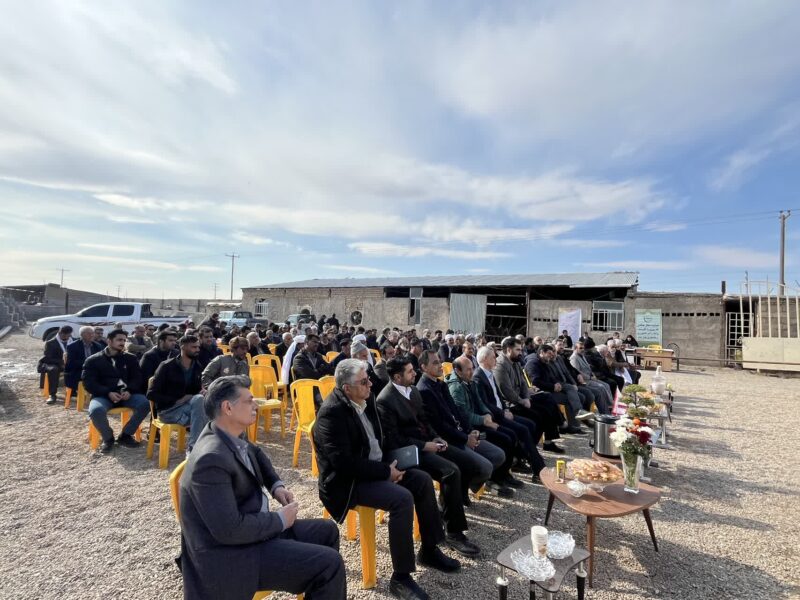 برگزاری روز‌ مزرعه استانی دام سبک در سرخس