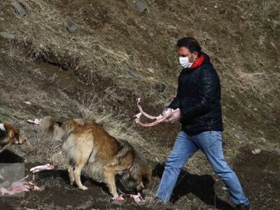 یک خط قرمز پررنگ میان انسان و حیات وحش