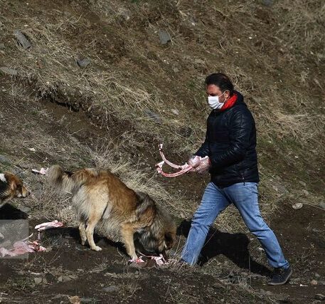 یک خط قرمز پررنگ میان انسان و حیات وحش