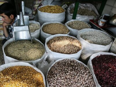 لوبیا چیتی نیم میلیونی؛ شایعه یا واقعیت؟