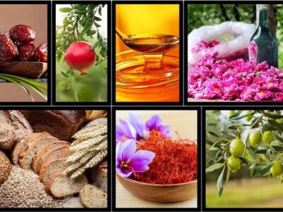 افزایش ۲۹ درصدی صادرات محصولات کشاورزی