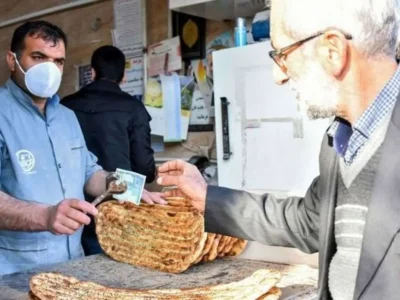 عامل گرانی قیمت نان ضعف وزارت جهاد کشاورزی است!