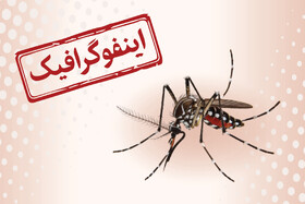 آیا بیماری تب دنگی کشنده است؟