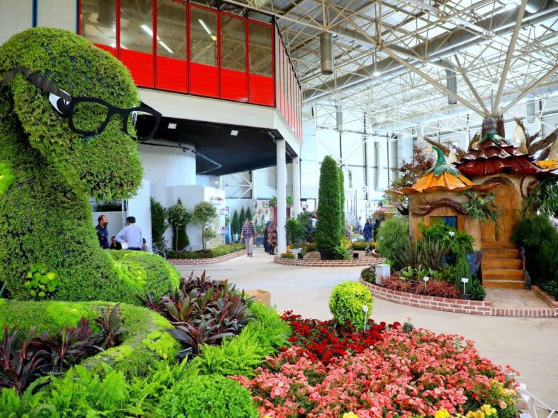 ارائه گونههای گیاهی کشور در نمایشگاه گل و گیاه مشهد