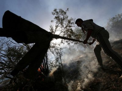 حذف یک سازمان در میانه مسیری بحرانی