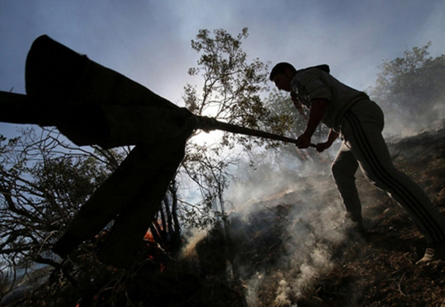 حذف یک سازمان در میانه مسیری بحرانی