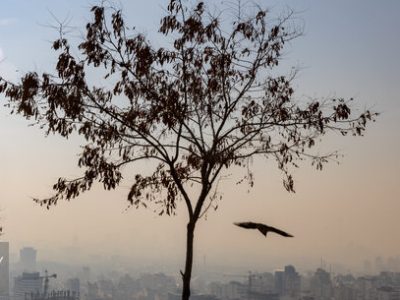 هوای تهران در وضعیت بسیار آلوده قرار دارد