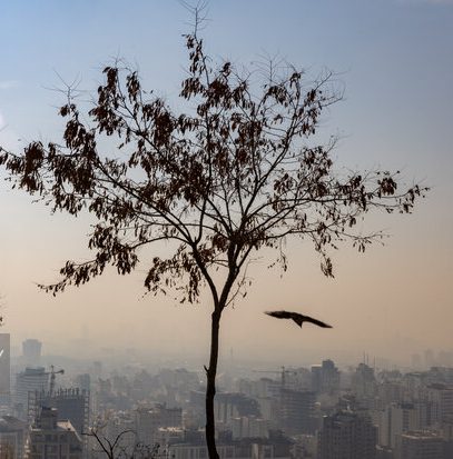 هوای تهران در وضعیت بسیار آلوده قرار دارد