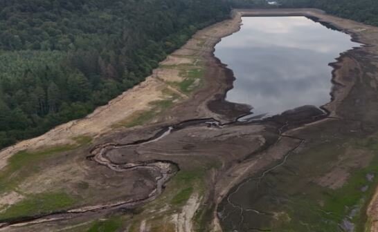 تابستان ۲۰۲۵، گرم‌ترین تابستان ثبت‌شده در تاریخ انگلیس