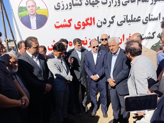 سطح زیرکشت زعفران در کشور به ۱۲۰ هزار هکتار رسید