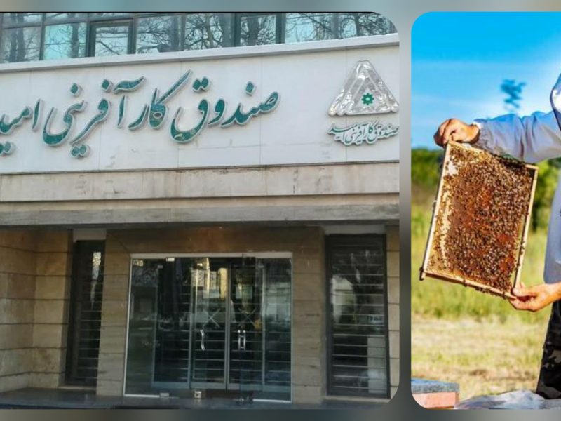 زنبورداران کارآفرین قربانی سیاست های ناکارآمد دولت