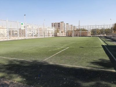 فوتبالی که دیگر سبز نیست