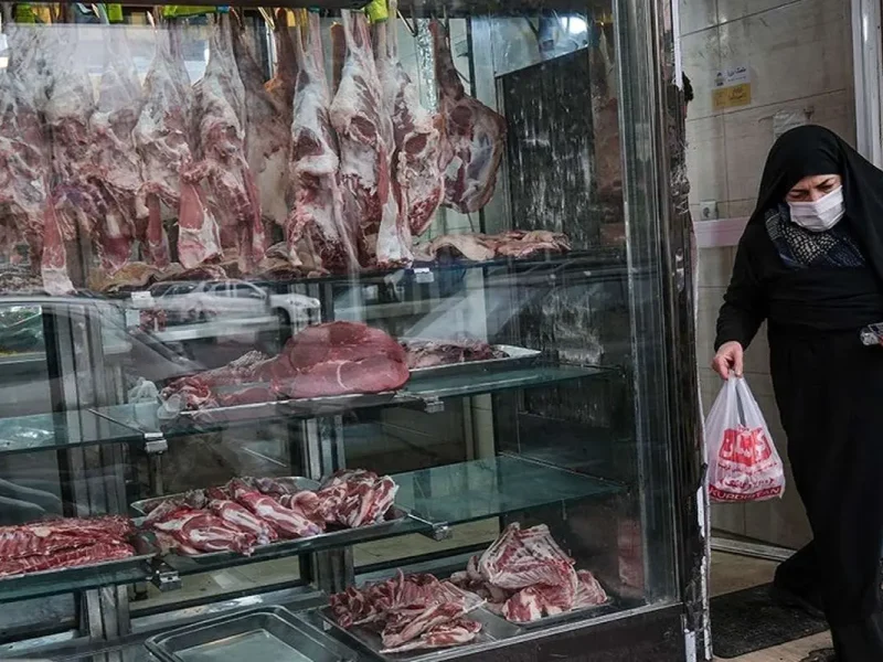 بهای سنگین گرانی گوشت