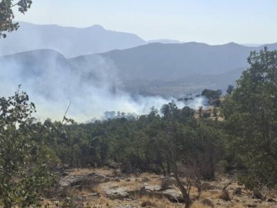 آتش‌سوزی عرصه‌های جنگلی الیت تحت کنترل است