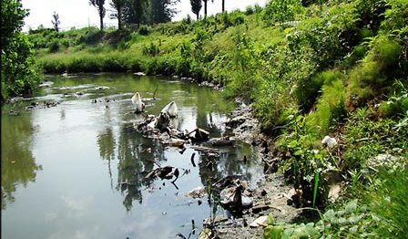 جنگل‌ها دفن می‌شوند، رودخانه‌ها می‌میرند