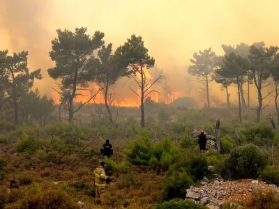 گزارشی از آخرین وضعیت جنگلی که ۲۰ روز است در آتش‌ می‌سوزد